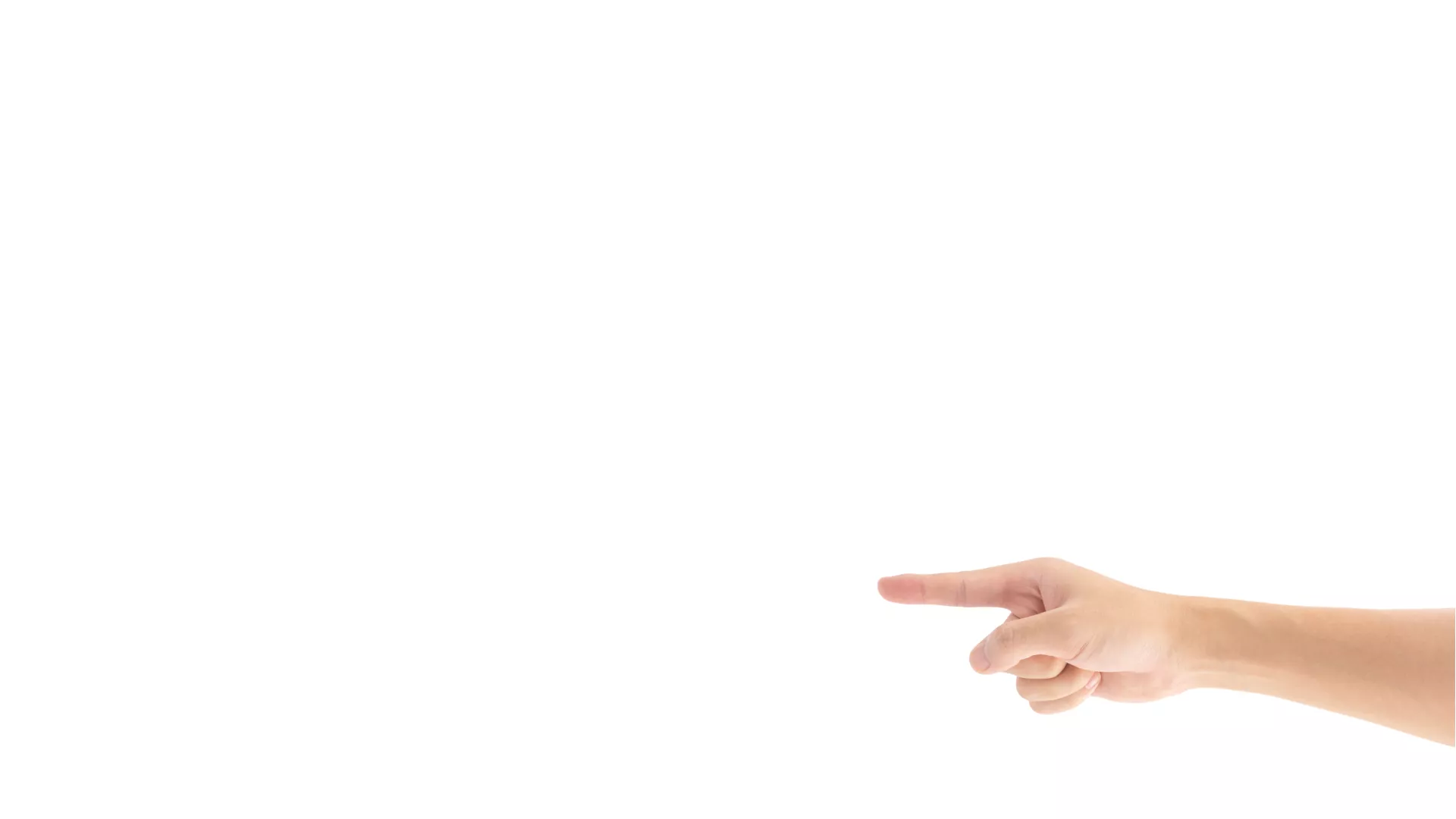 sektionshintergrund